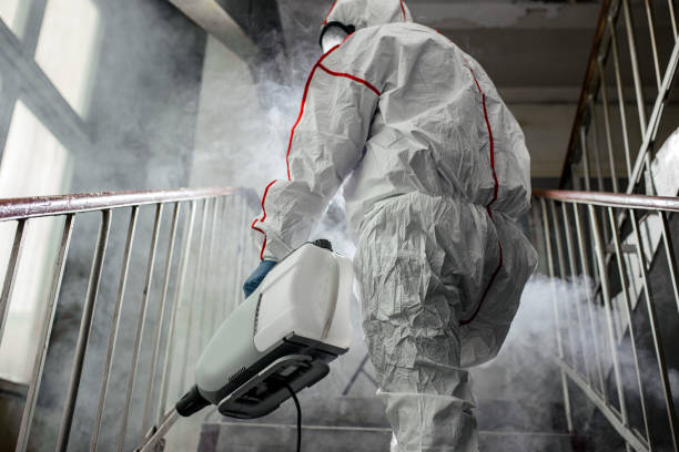 Mold Remediation for Vacation Homes